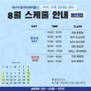 프로발리볼센터