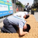 씌울 Daum카페