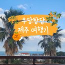 제주도 여행기] 여행 1째날, 아고다 이스트젯 항공 예약, 제주로 렌터카, 제주 브라운 스위트 호텔 후기