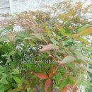 수원시 팔달구 팔달문로81번길 이미지