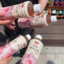[인천/월미도]월미도 1박2일 여행 놀거리 마이랜드 vs테마파크 바이킹, 디스코팡팡 영업시간,주차 및 후기