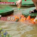 머드온천랜드