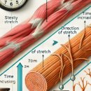 중앙마취통증의학과 이미지