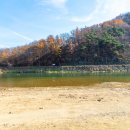 목도강수욕장 이미지