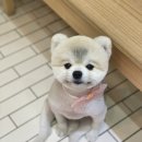 멈무살롱 이미지