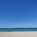 명진파크뷰 | 1128-1202 제주 여행 / 신라호텔 후기 / 제주 카페패스 후기 / 제주도 무계획 여행기 / 사진많음주의