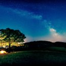 두번째 마음 이미지