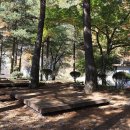 개미들솔향기야영장 이미지