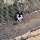 송치농장 이미지