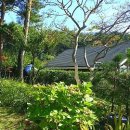 청명원협동조합 이미지