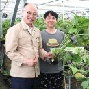 최창순 농장 이미지