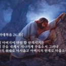 원대로-6 이미지