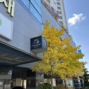 무주읍226 이미지