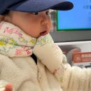 콤피펫쇼퍼서비스 | 강릉 세인트존스호텔 재방문｜아기랑 강아지랑 1박 후기