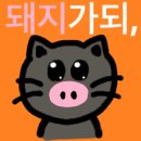 삐까삐까