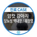 강동24시SKY 동물병원 이미지