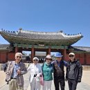 오늘 역탐에서 쥐친들 이미지