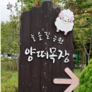 무수목장 | 14th, 주꾸미,제육이랑 어묵탕에양