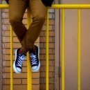 선의행정사사무소 이미지