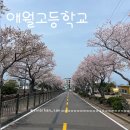 CU(벚꽃점) 네이버블로그