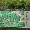 상판소나무숲 이미지