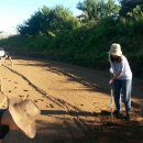 범수농장2 이미지