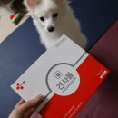 오덴탈