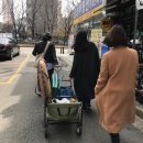 여의도페리카나치킨 | 여의도 한강공원 갑자기 피크닉 솔직 후기 / 최강고딤팸이랑 한강 즐기기