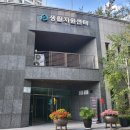 잠실3동성당 | 잠실동 임장 2탄: 엘스, 리센츠, 트리지움, 레이크팰리스, 잠실주공5단지 (ft. 잠주5단지 재건축 진행...