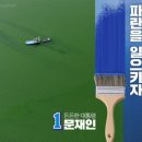 파란나라 네이버블로그