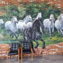 뮌스터담 이미지