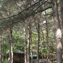 파리바게트 앞(2) 이미지