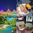 유아미안경 | [공지] 나고야 3박 4일 혼자 여행 : 나고야는 유잼도시