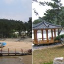 캐리비안민박 이미지