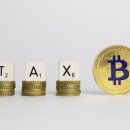 박진희세무회계사무소 이미지