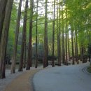 산림놀이 화장실 이미지