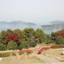 달아마루브릴랑 네이버블로그