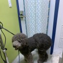 올리스 방이점 이미지