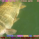 행운낚시터 이미지