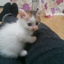 그래 거기 이미지