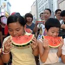 토끼당자유민주공화국 토끼당타운에서 열린 한여름 폭염탈출 수박 빨리 먹기대회 이미지