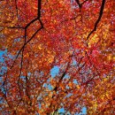 아이지엠 이미지