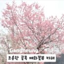 카페명경 이미지