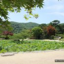 호암미술관 이미지