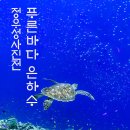 우찌 정우성님 개인전 - 페이스북 캡쳐 이미지