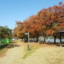 중원문화길 1구간 이미지