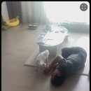 제이오원 | 왜노자 + 263~267 나 제이오원에 많이 진심이엇는데.