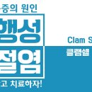 [퇴행성관절염치료법무릎에좋은운동]_1. Clam Shell 클램쉘운동 이미지