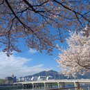 남천강변로 이미지