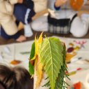 자연과우리 | [아이체험] 아이와 자연과 소통하는 시간, 가을 숲체험 생태수업 후기
